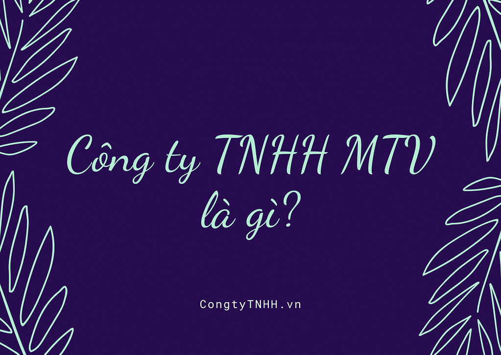 Công ty TNHH MTV là gì?