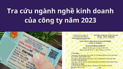 Tra cứu ngành nghề kinh doanh của công ty năm 2023