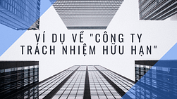 Ví dụ về công ty trách nhiệm hữu hạn